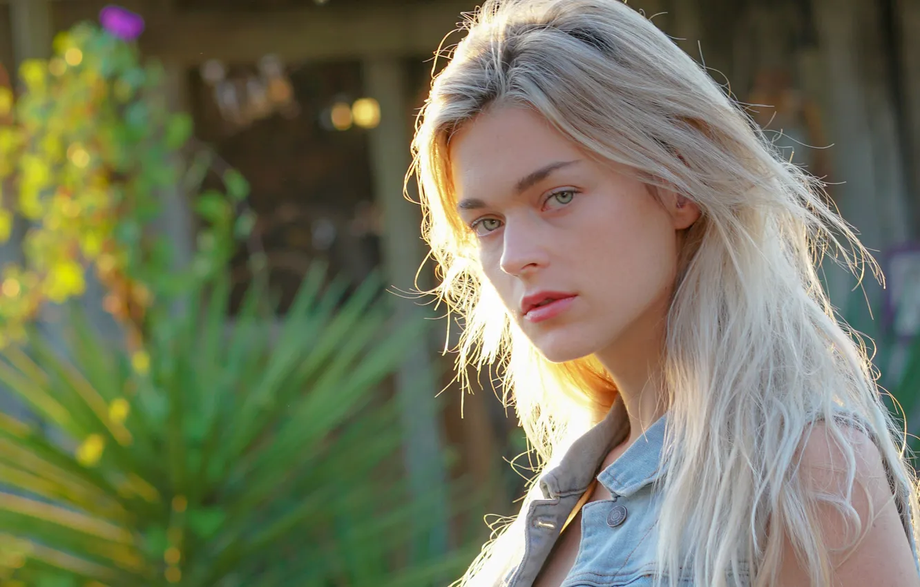 Фото обои лето, взгляд, модель, блондинка, katie