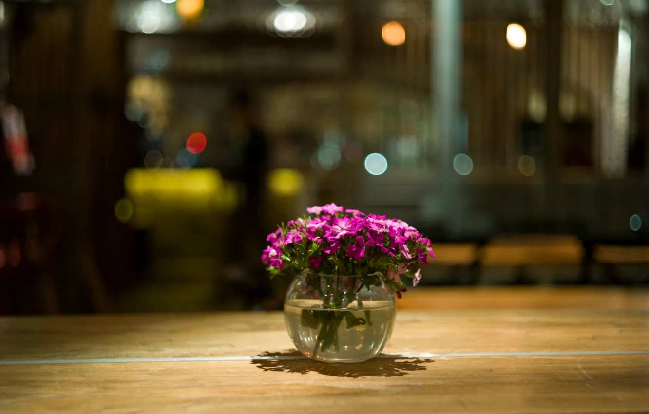 Фото обои макро, цветы, блики, стол, лепестки, розовые, вазочка, Малиновые