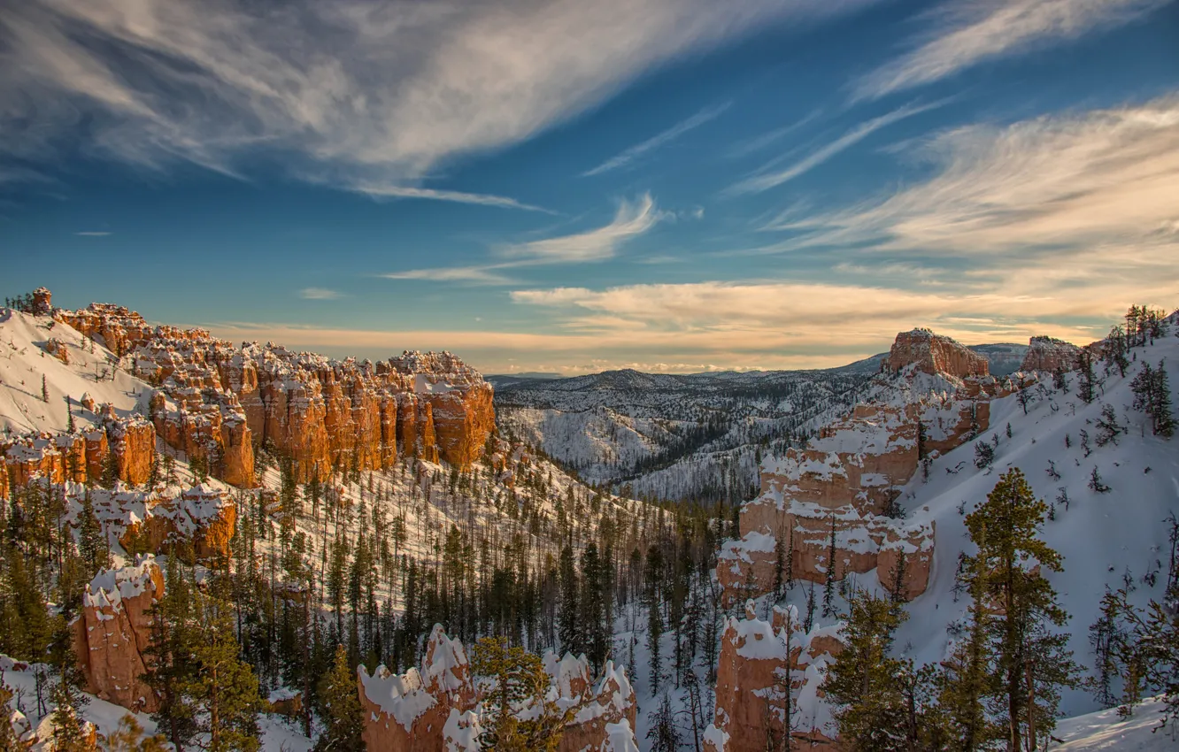 Фото обои зима, небо, снег, деревья, горы, скалы, каньон