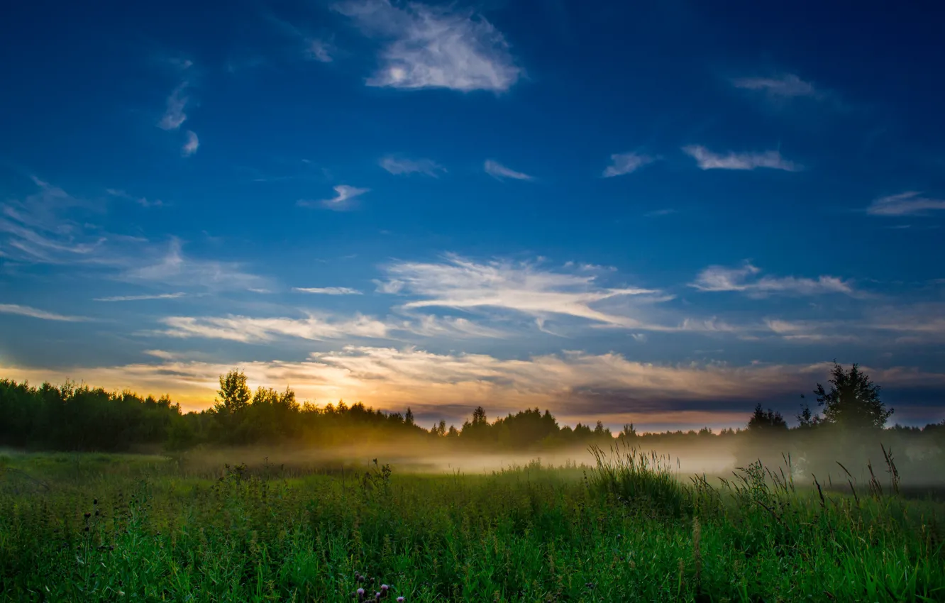 Фото обои трава, солнце, облака, закат, туман, поляна, куст, вечер