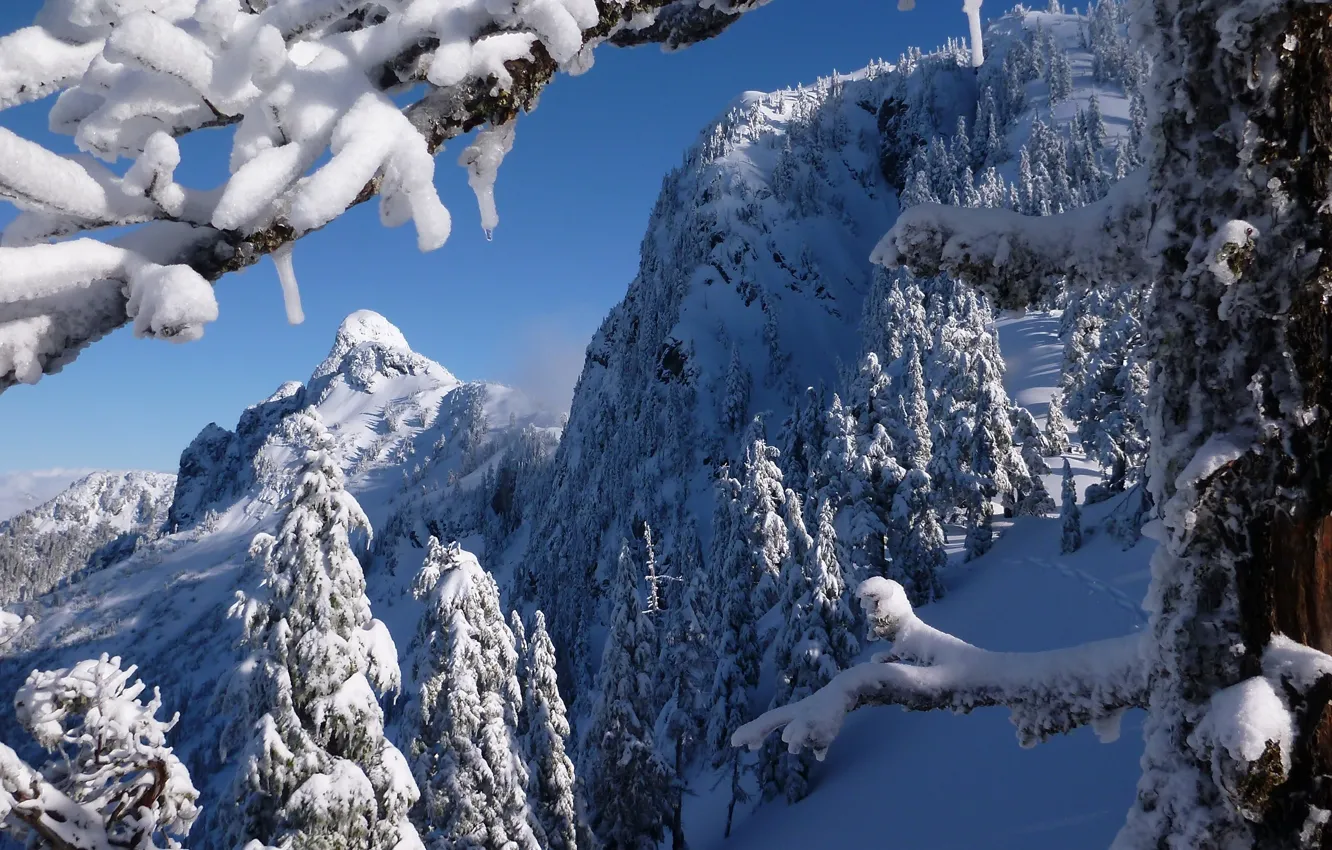 Фото обои зима, деревья, горы, Канада, Ванкувер, Canada, British Columbia, Vancouver