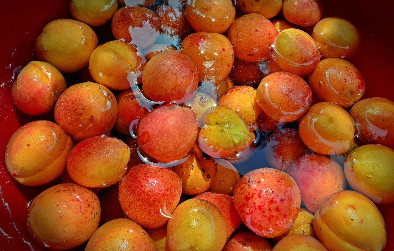 Фото обои вода, урожай, фрукты, абрикосы