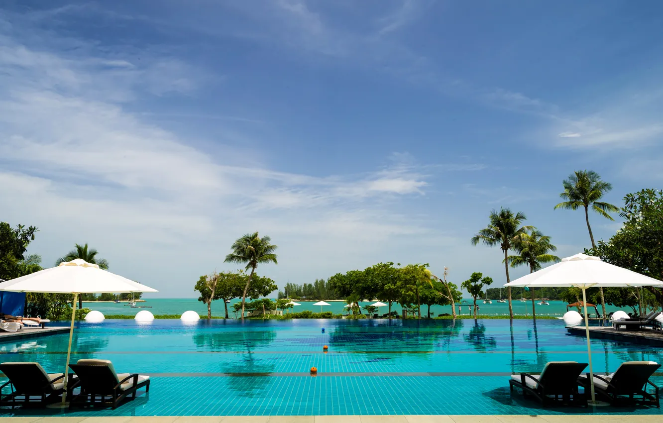 Фото обои море, небо, тропики, пальмы, бассейн, курорт, Малайзия, шезлонги