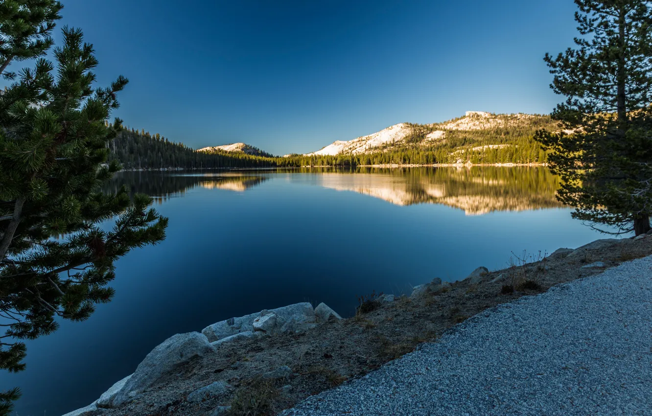 Фото обои деревья, горы, озеро, отражение, Калифорния, сосны, California, Yosemite National Park