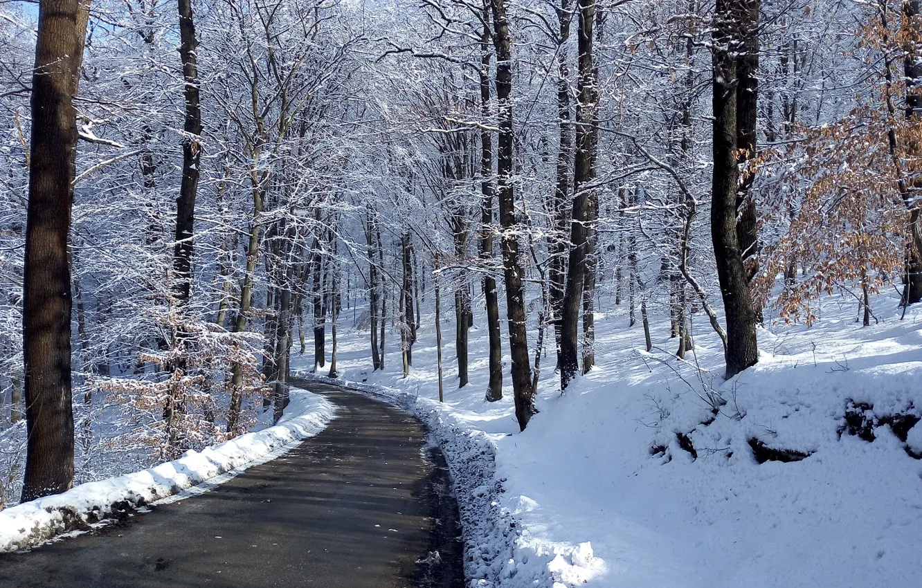 Фото обои winter, Romania, winter day, winter doll