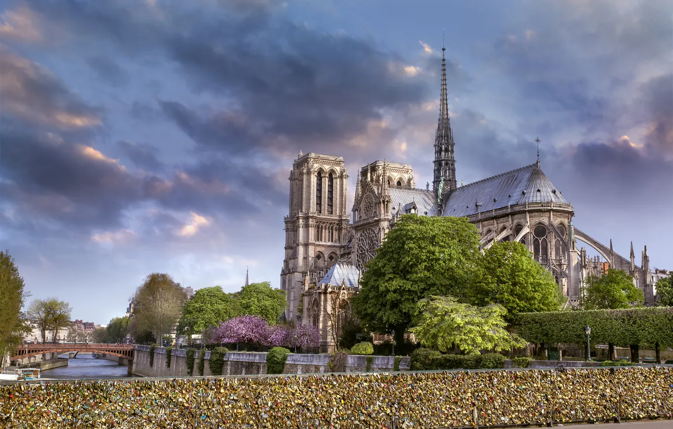 Фото обои Париж, Paris, France, Notre Dame de Paris, cathedrale