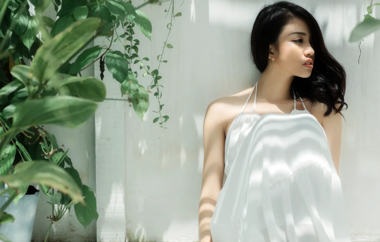 Фото обои девушка, поза, фон