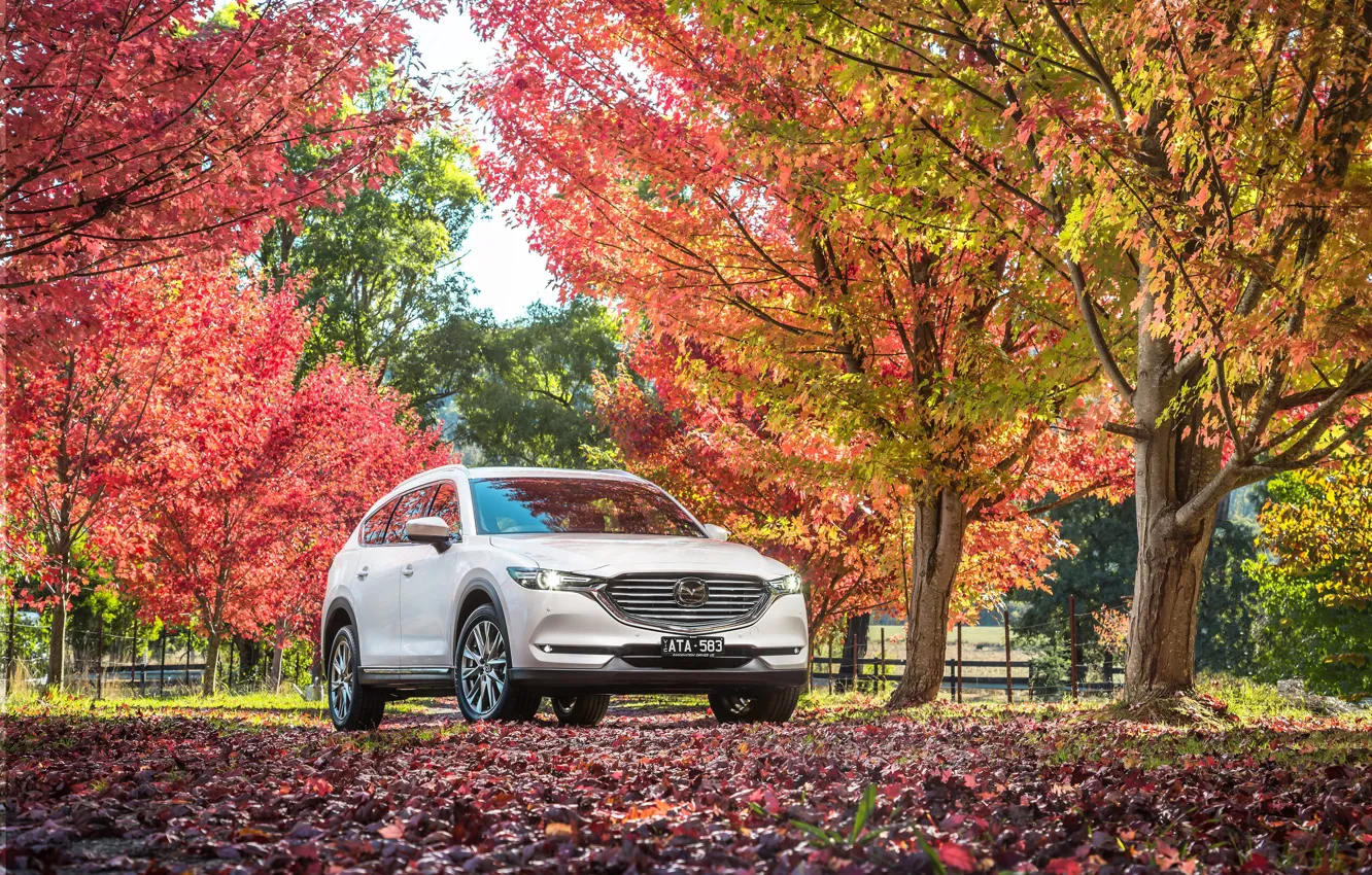 Фото обои машина, осень, Mazda, белый цвет