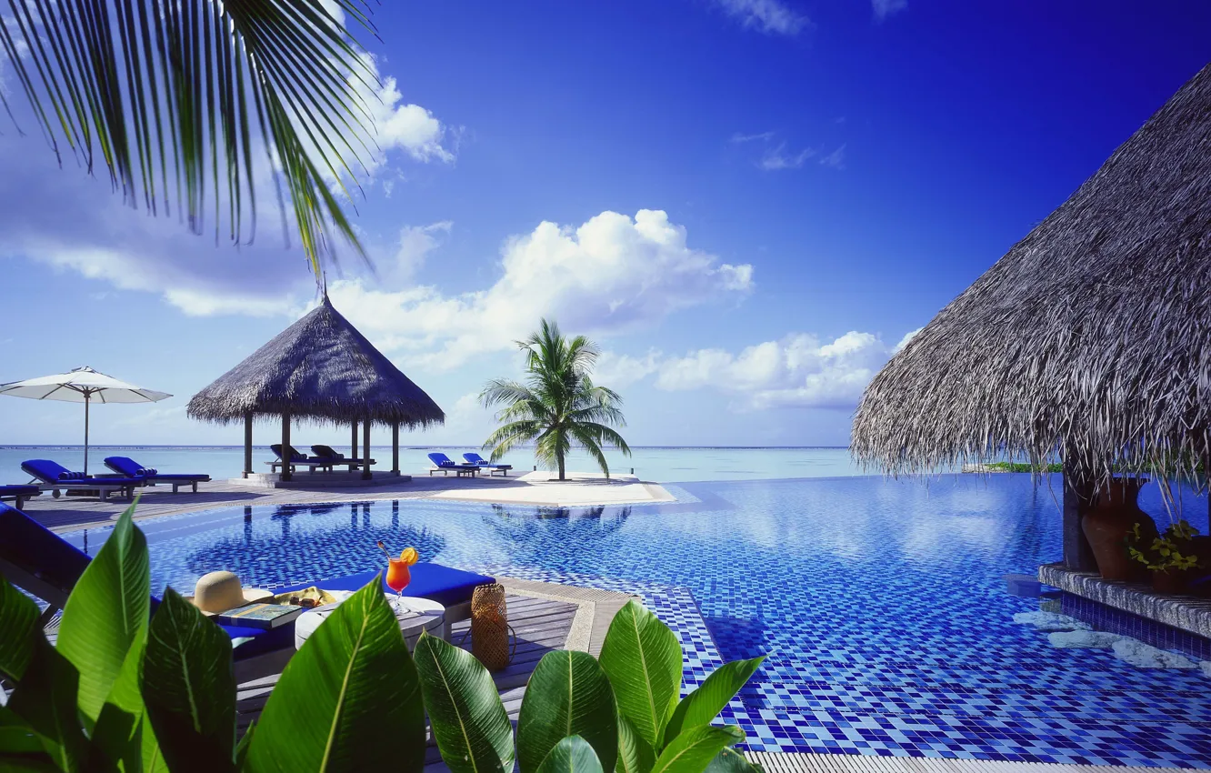 Фото обои пальмы, океан, бассейн, бунгало