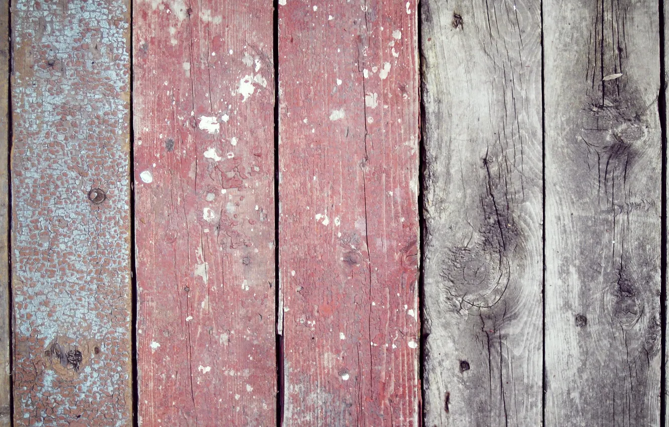 Фото обои деревья, краски, доски