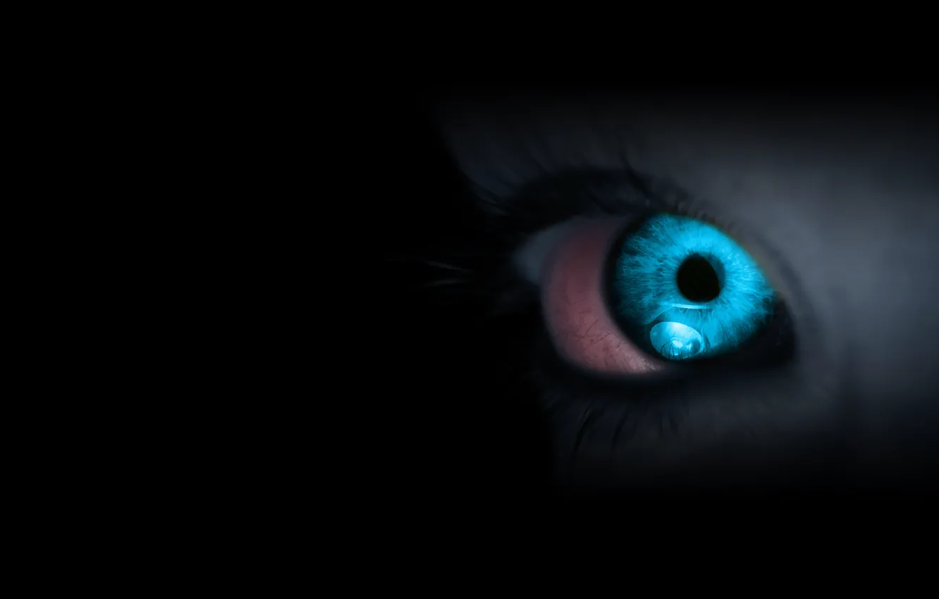 Фото обои глаз, темнота, голубой
