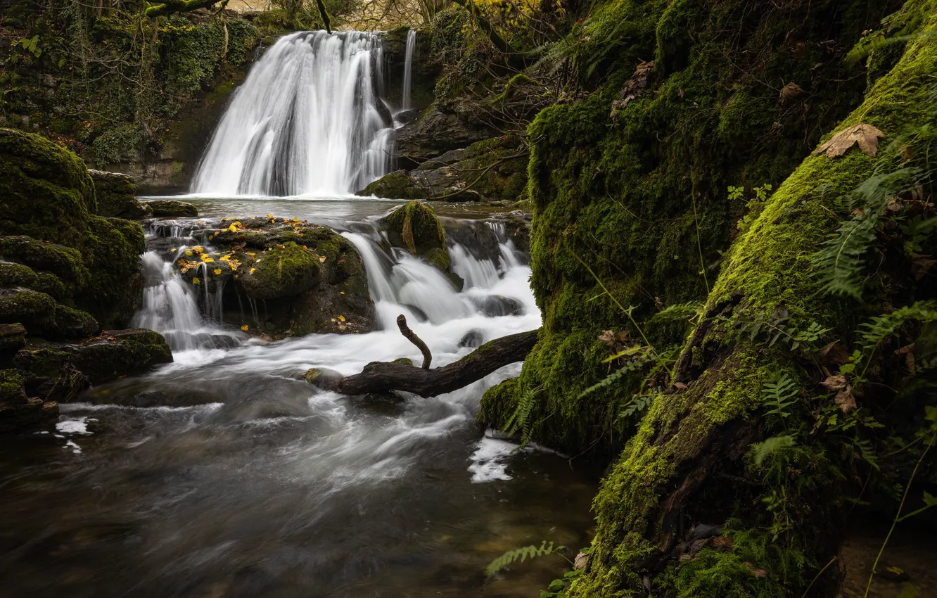 Фото обои река, Англия, водопад, мох, England, Северный Йоркшир, North Yorkshire, Malham