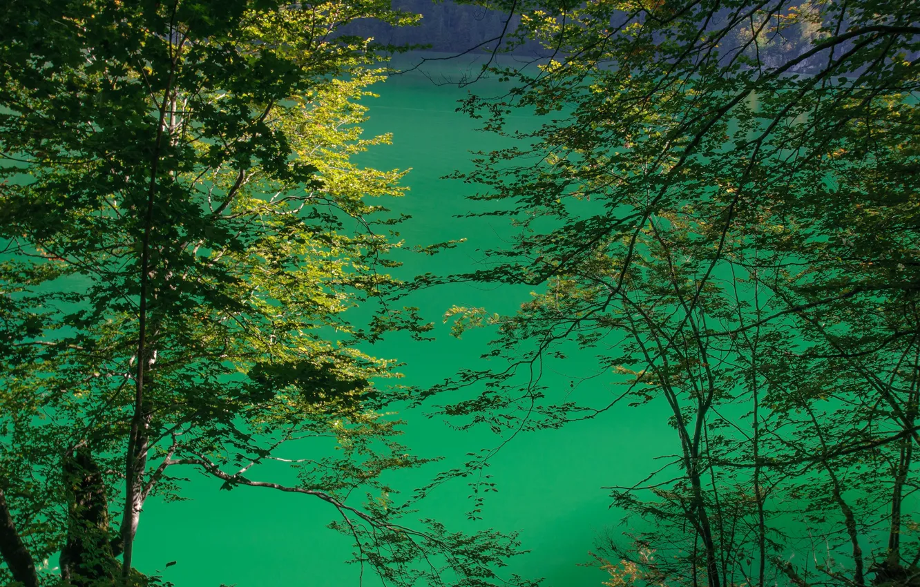 Фото обои озеро, Германия, Бавария, Кёнигсзе