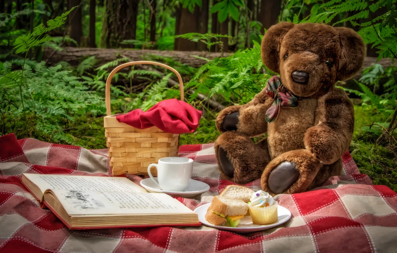 Фото обои природа, игрушка, медведь, чашка, книга, пикник, корзинка, бутерброды