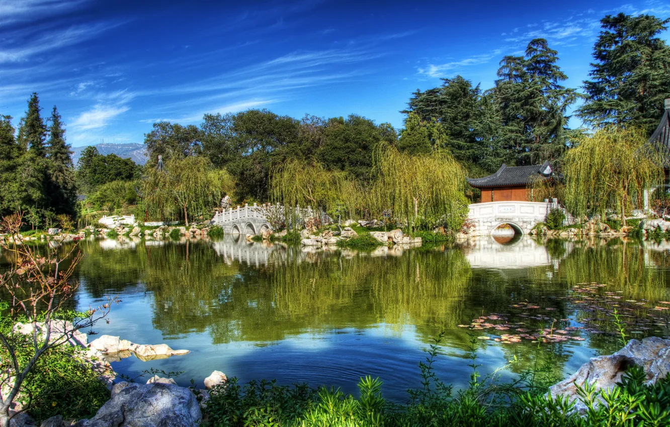 Фото обои природа, пруд, сад, USA, California, San Marino, Chinese