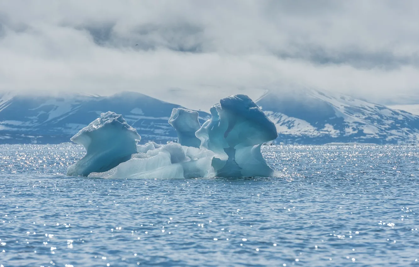Фото обои холод, море, снег, пейзаж, блики, лёд, айсберг