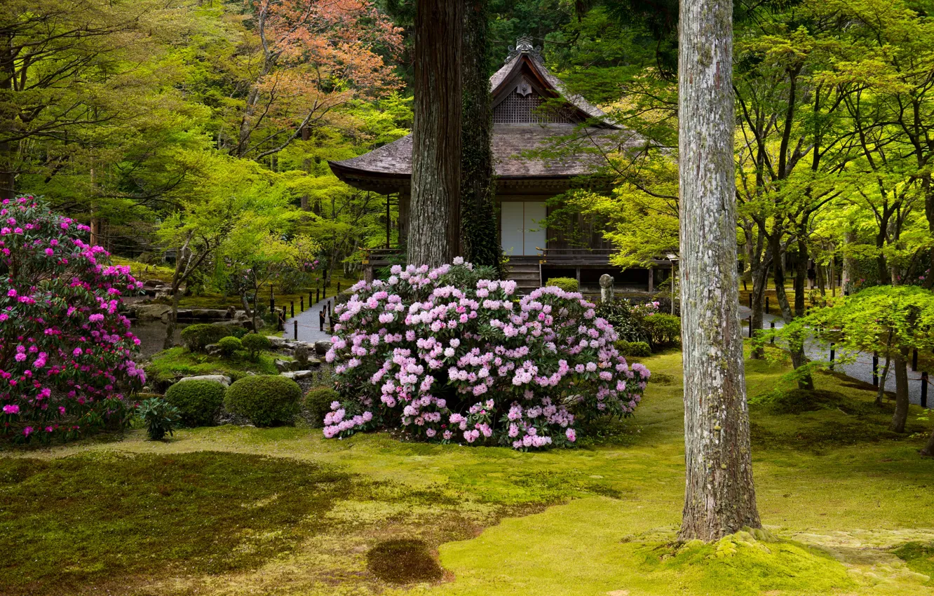 Фото обои зелень, трава, деревья, цветы, парк, камни, газон, Япония
