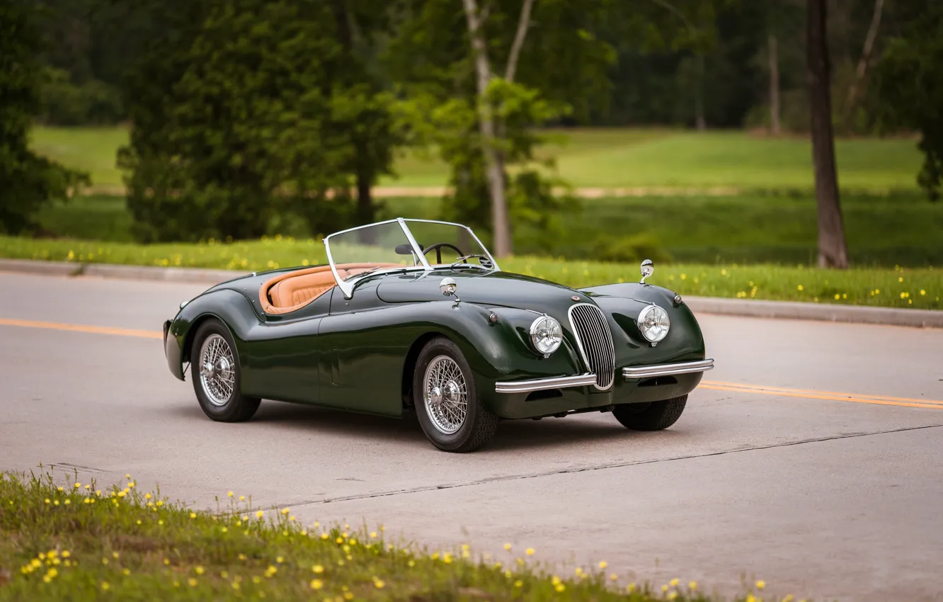 Фото обои Jaguar, 1954, XK120, Jaguar XK120 SE Roadster