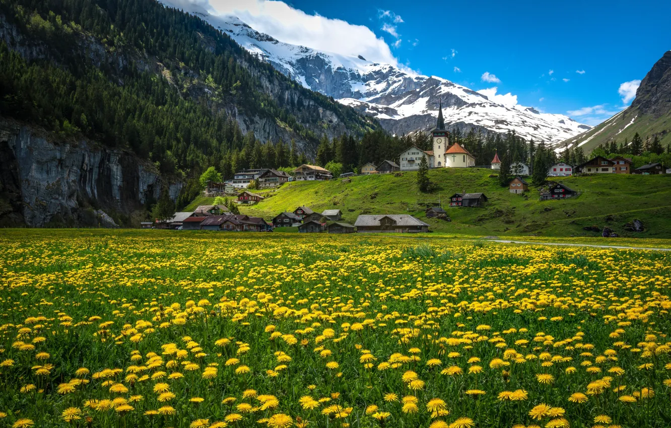 Фото обои цветы, горы, дома, Швейцария, деревня, Альпы, луг, одуванчики