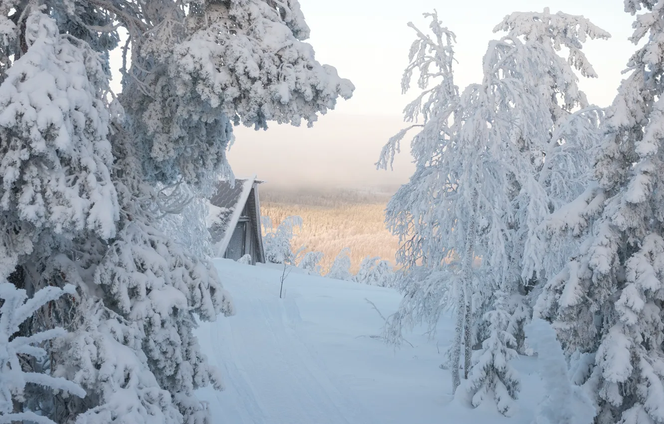 Фото обои зима, дорога, лес, снег, природа, высота, гора, ели
