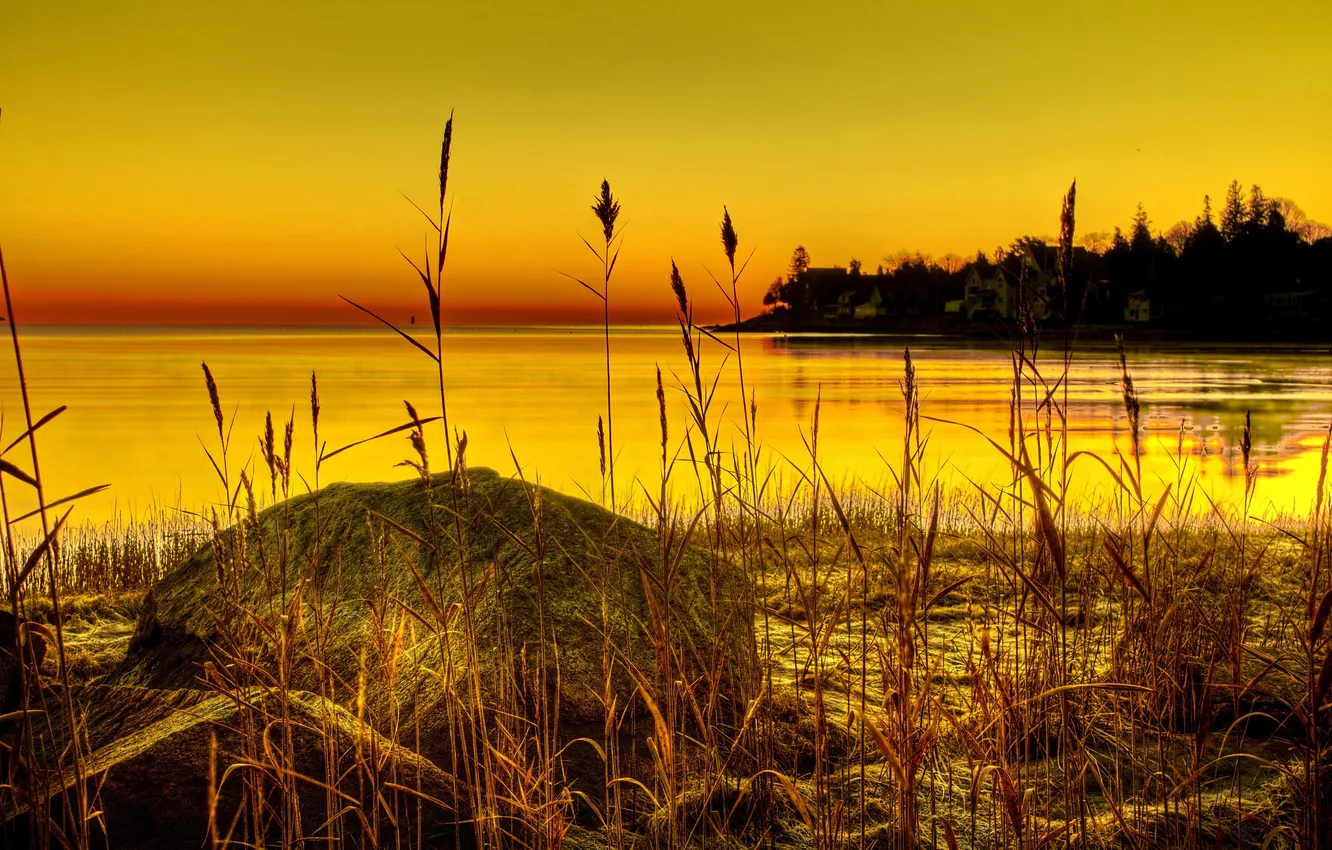 Фото обои небо, трава, деревья, озеро, берег, камень, растение, зарево
