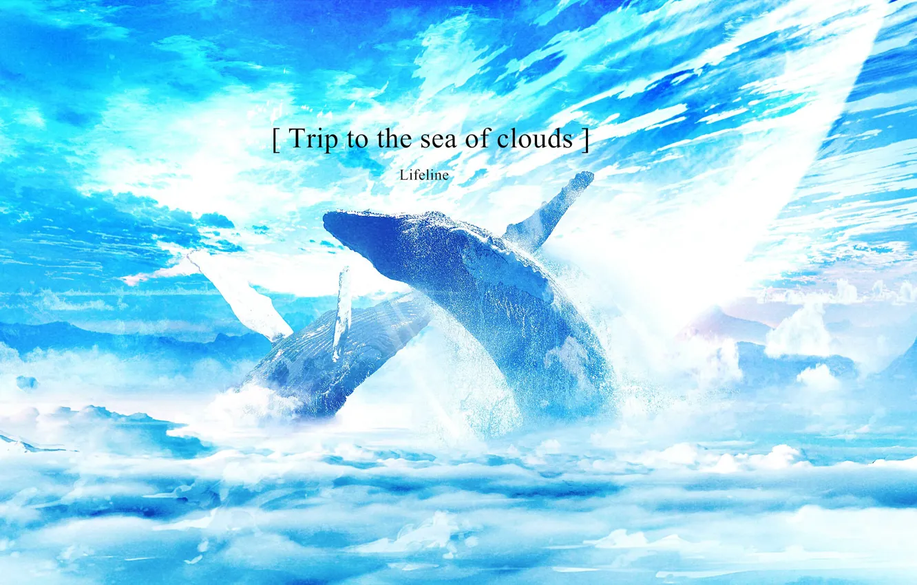 Фото обои облака, фэнтези, киты, фразы
