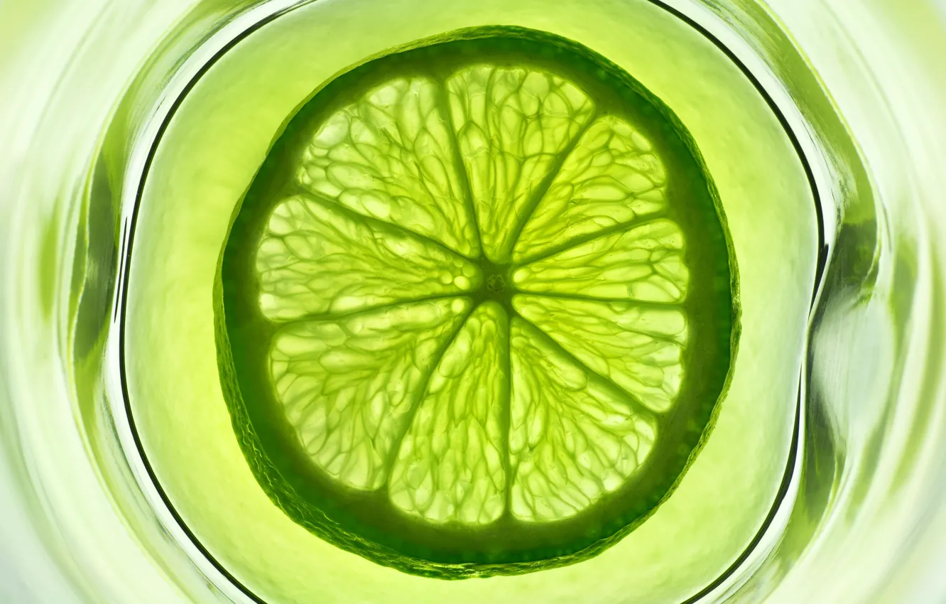 Фото обои вода, стакан, зеленый, фрукт, лайм, цитрус
