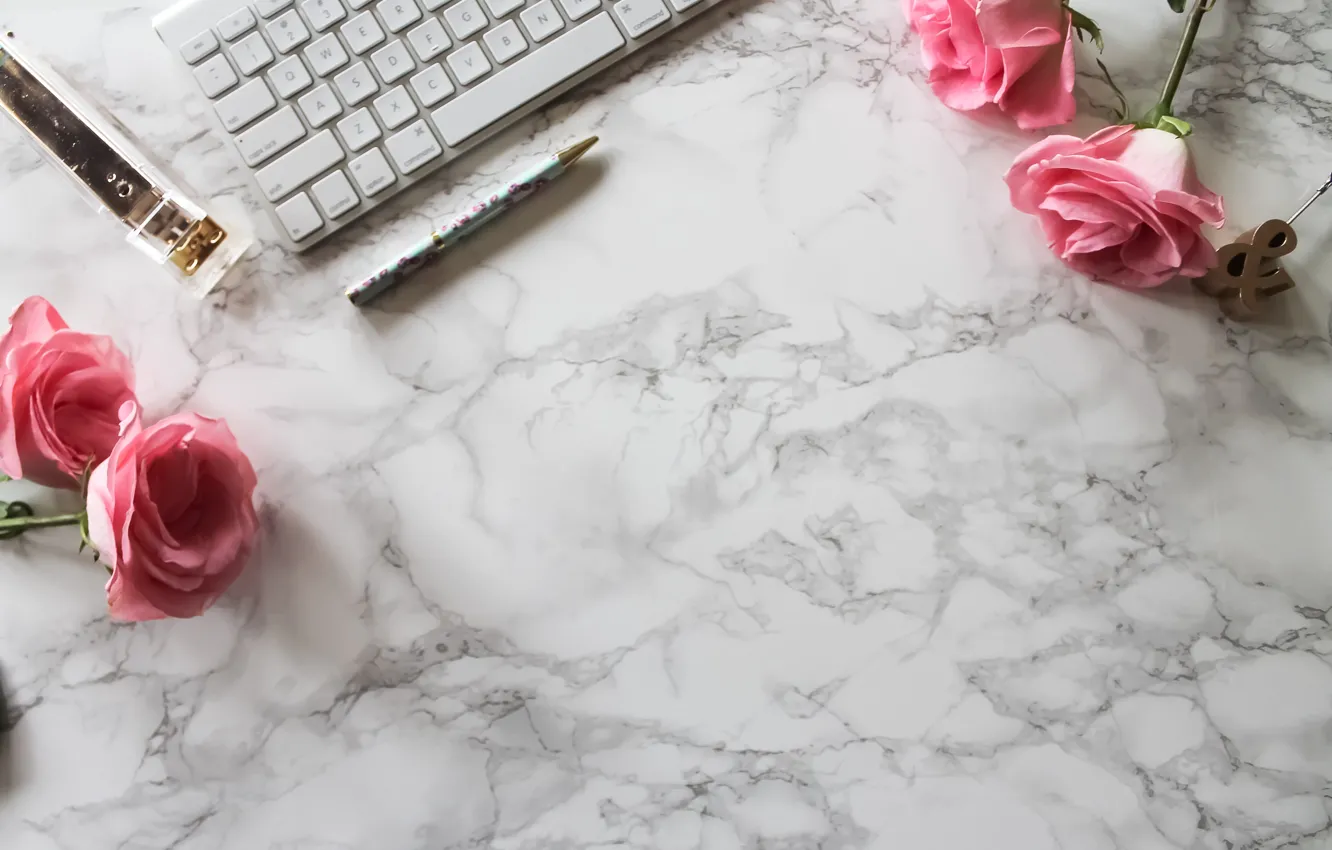 Фото обои розы, ручка, pink, flowers, roses, keyboard, marble, степлер