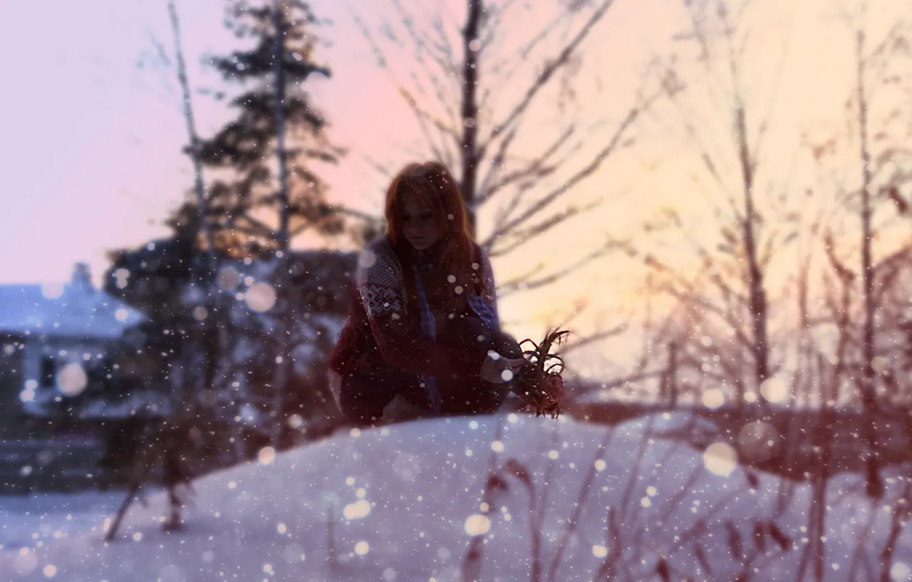 Фото обои зима, девушка, куст, Снег, рыжая