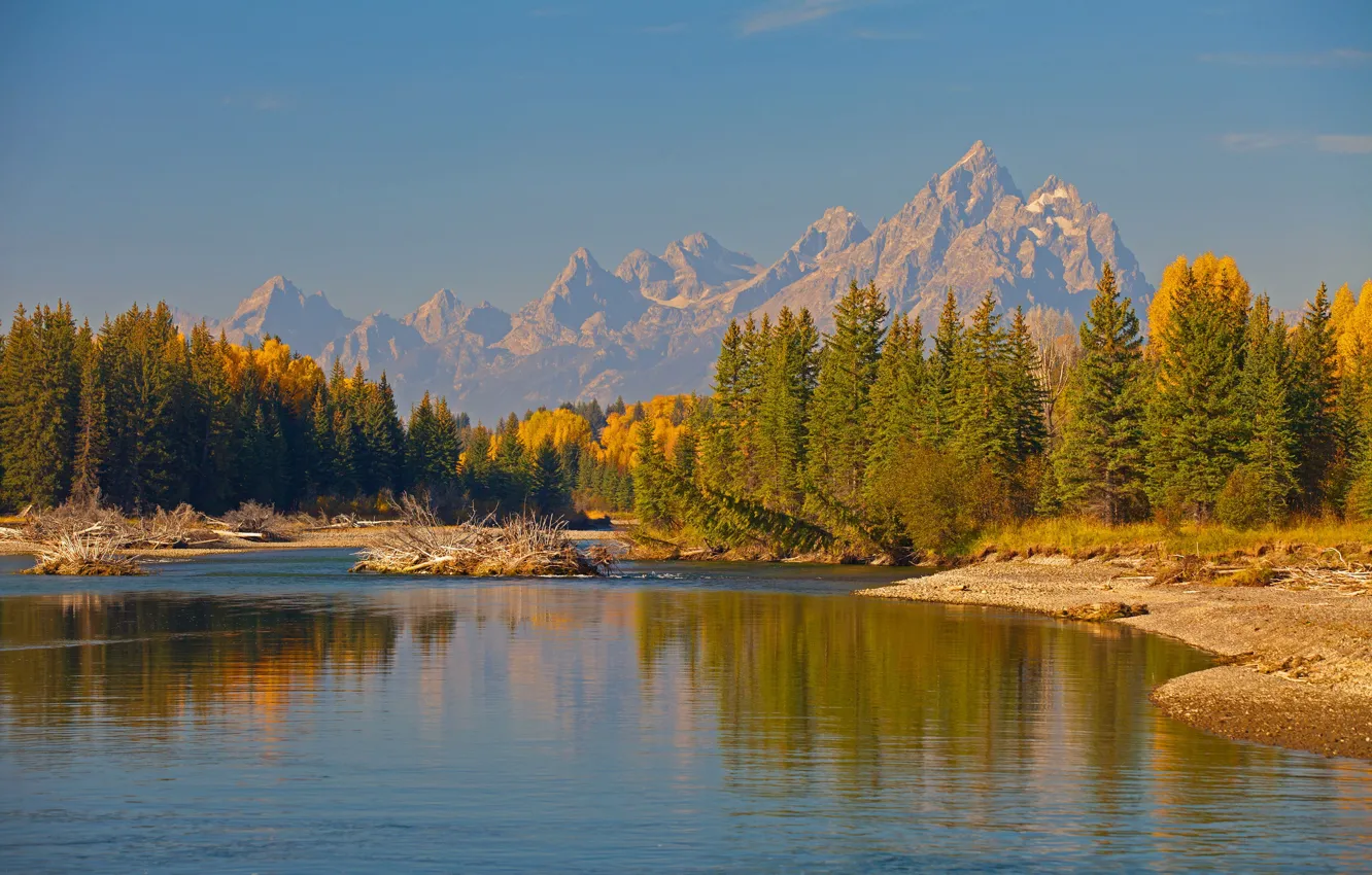 Фото обои осень, деревья, горы, река, Вайоминг, США, Гранд-Титон