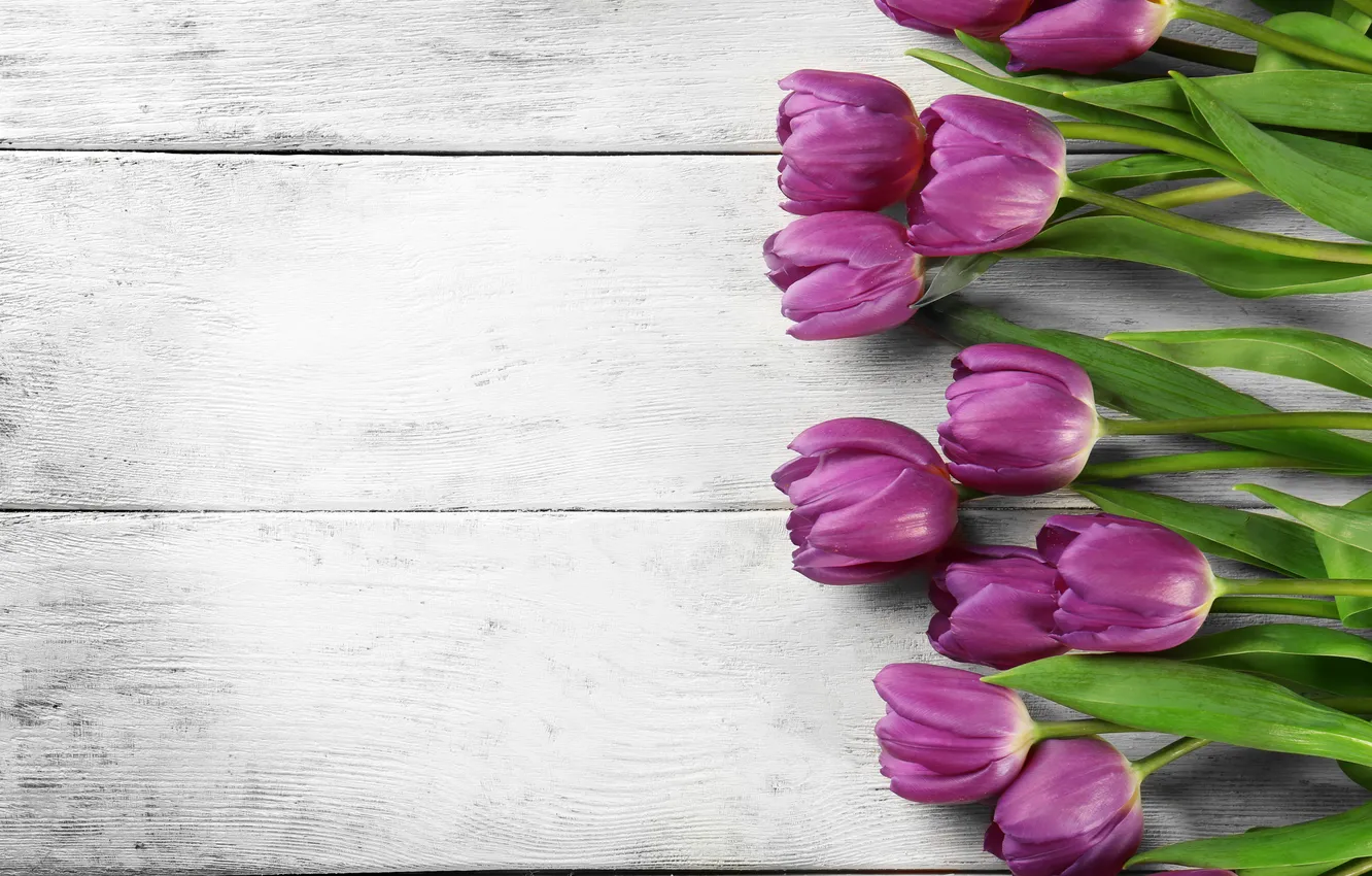 Фото обои цветы, букет, тюльпаны, wood, flowers, tulips, spring, purple