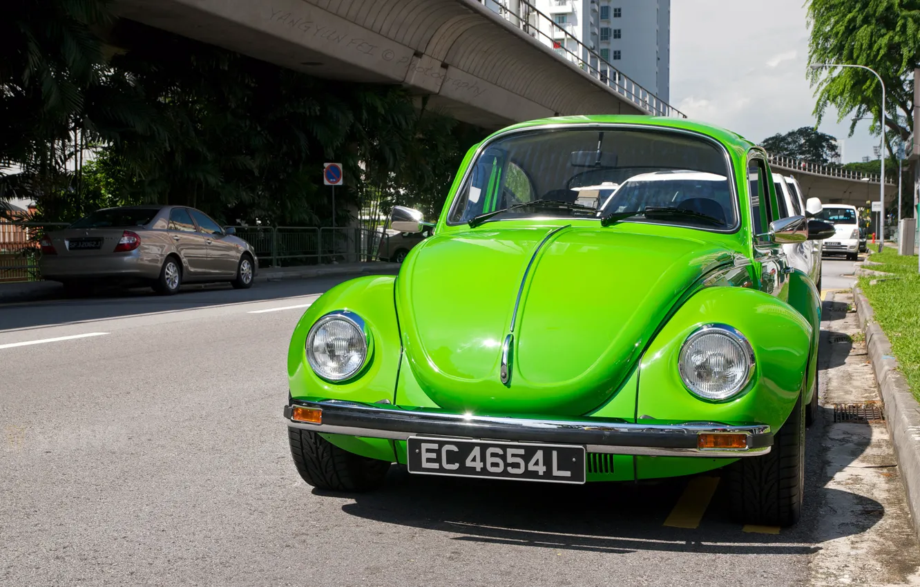 Фото обои зеленый, жук, Volkswagen Beetle