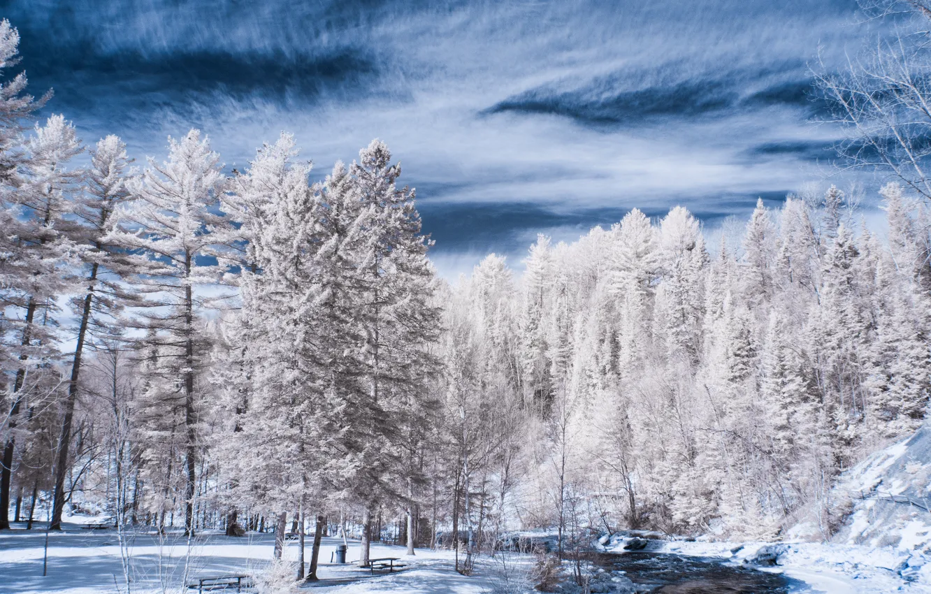 Фото обои зима, снег, деревья, река
