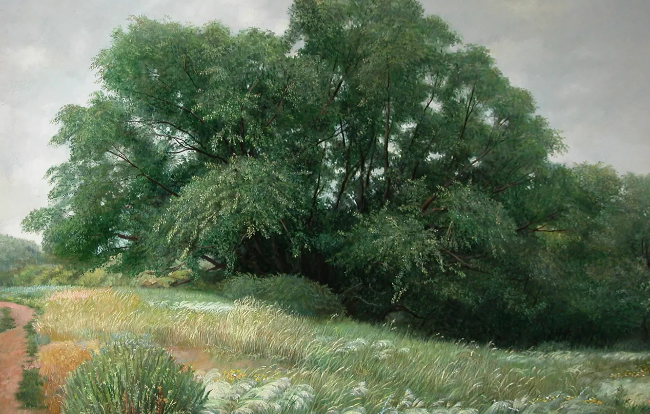 Фото обои трава, деревья, тропинка, Айбек Бегалин, 2009г, Спасск