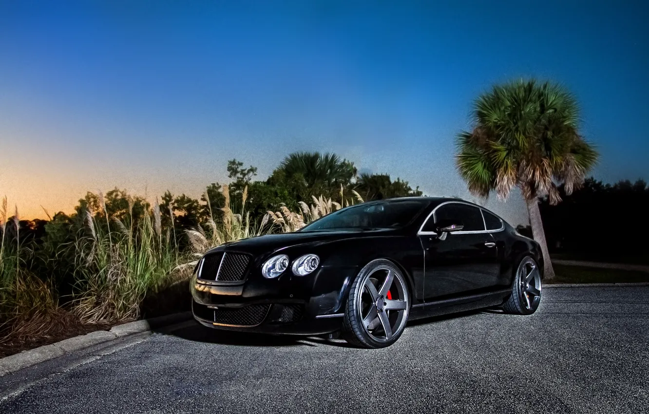 Фото обои черный, купе, Bentley, Continental GT, black, front, бентли, континентал