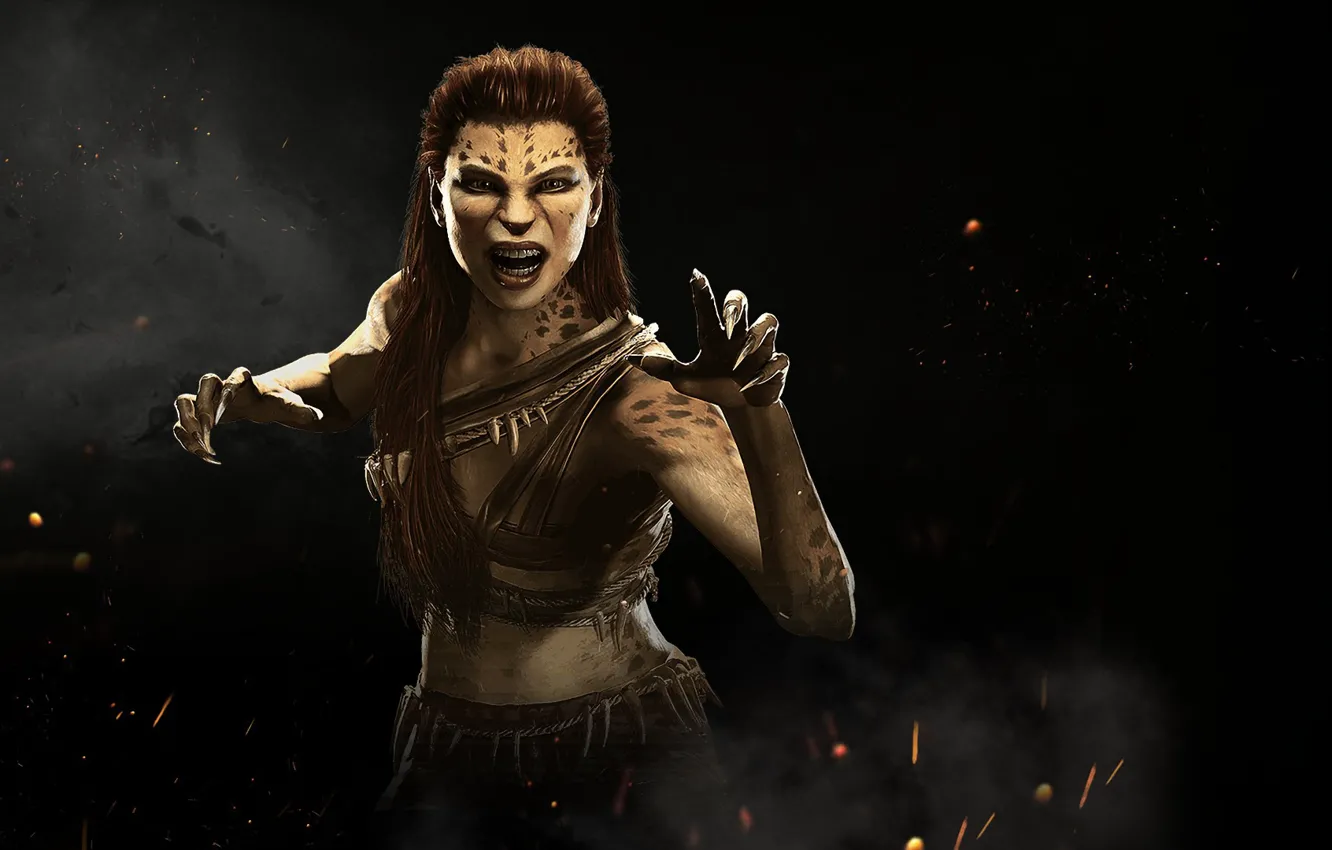 Фото обои game, Cheetah, fighting, NetherRealm Studios, Injustice 2, Barbara Ann Minerva
