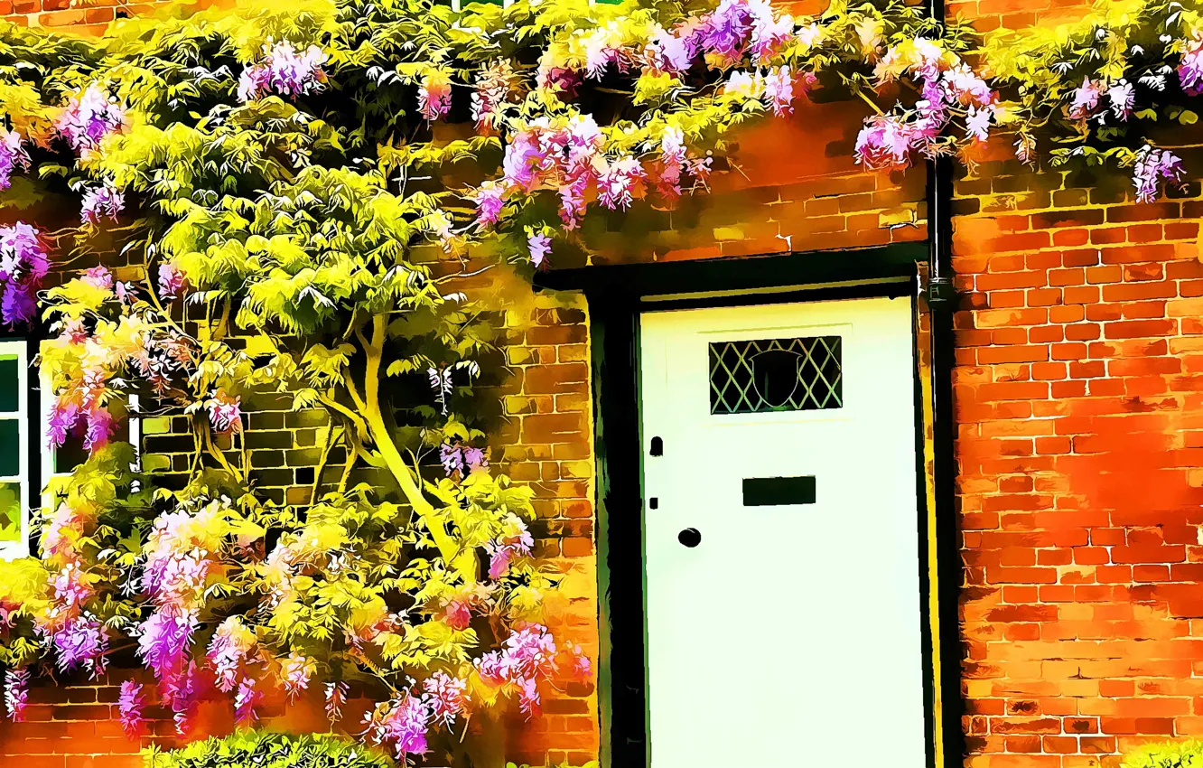 Фото обои Цветы, Рисунок, Дверь, Арт, Art, Flowers, Door