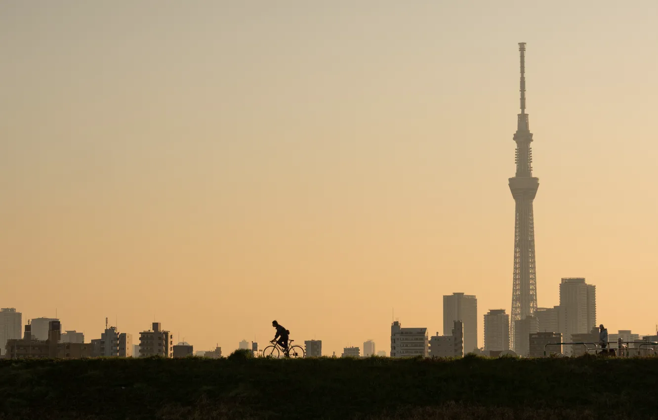 Фото обои город, башня, велосипедист