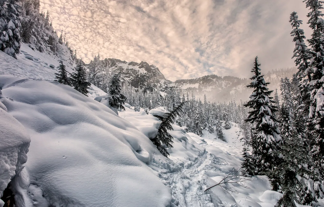 Фото обои зима, снег, горы
