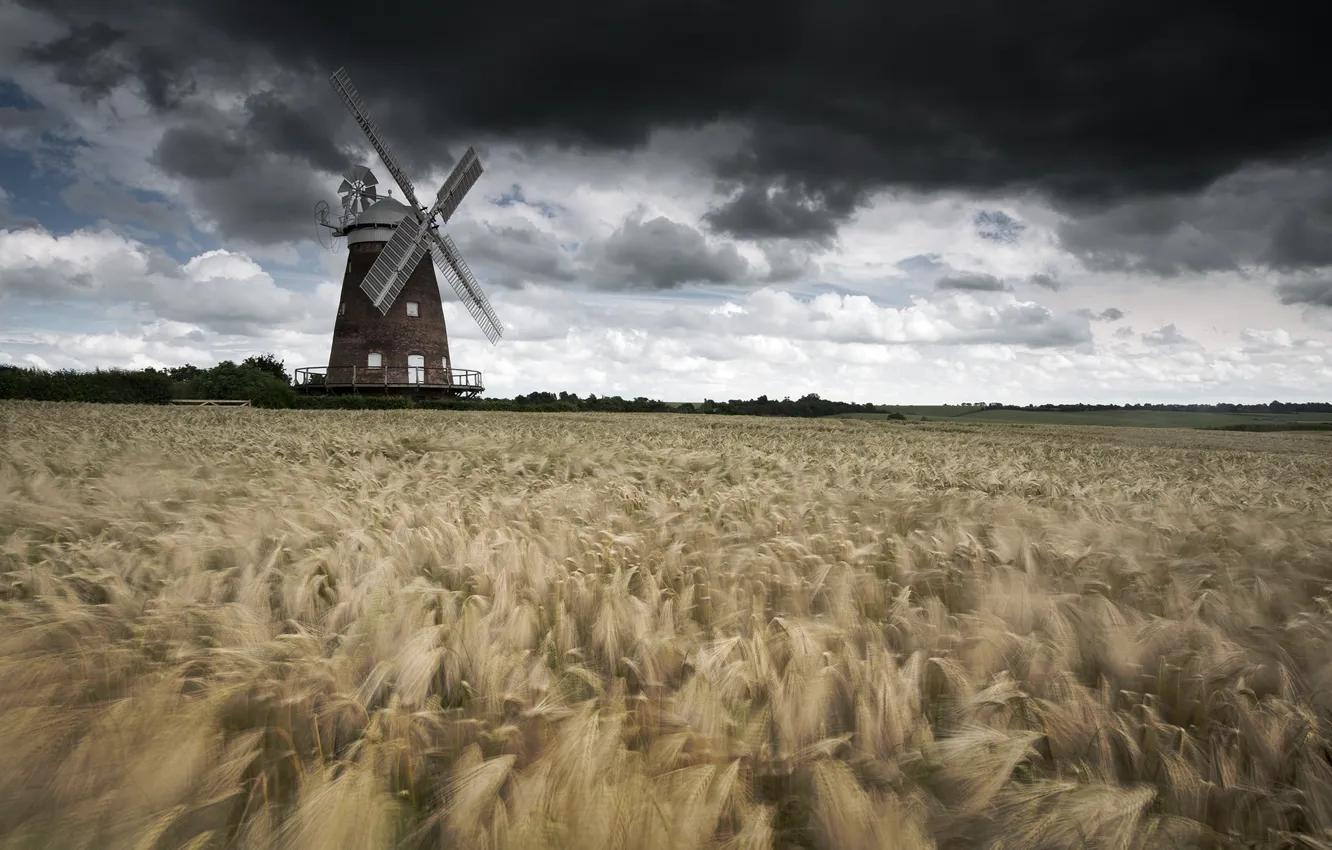 Фото обои storm, windmill, wind, wheat, countryside, wheat field, farmland