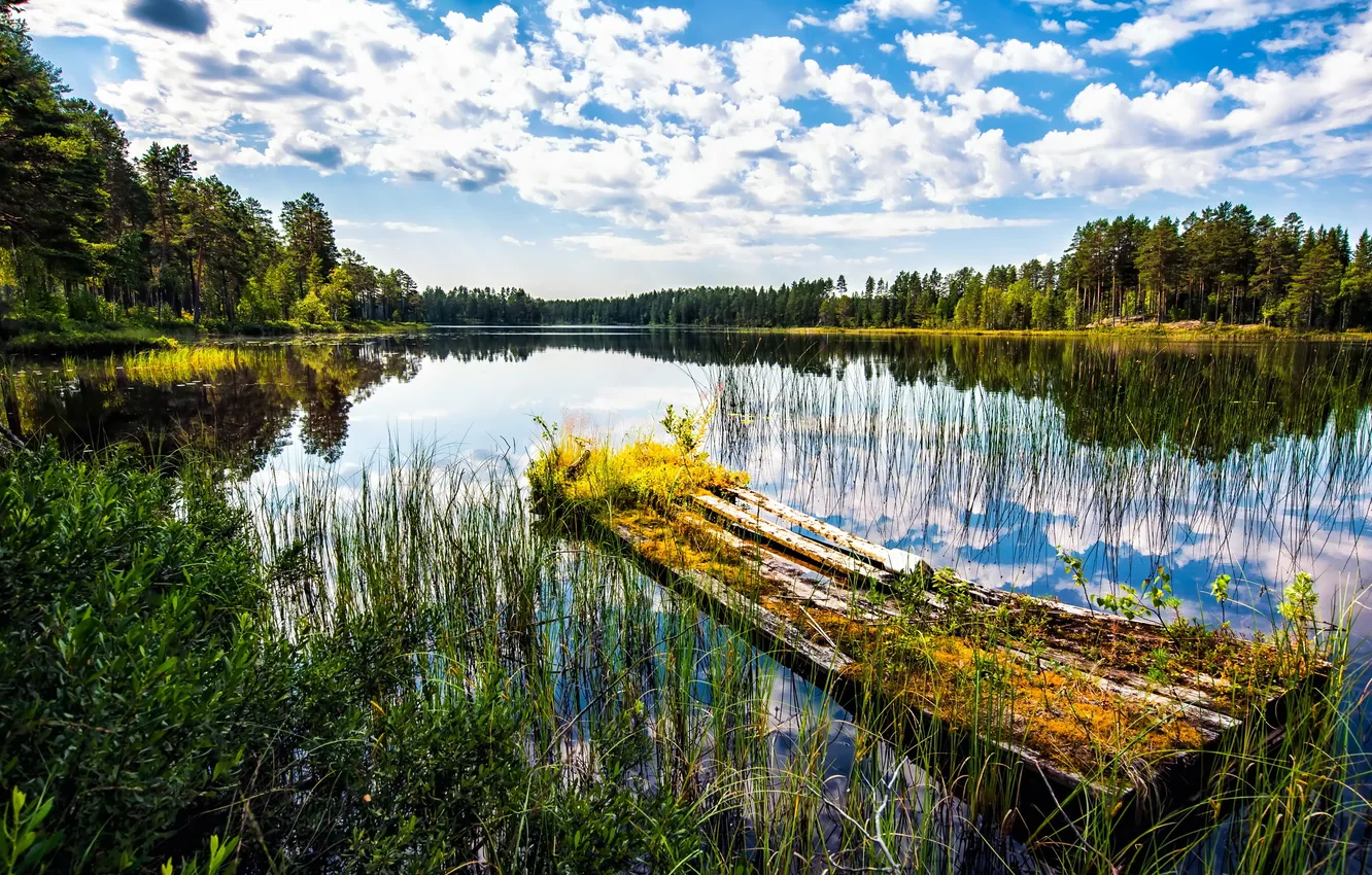 Фото обои лето, природа, озеро