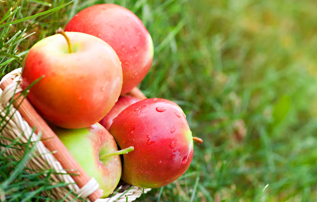 Фото обои трава, капли, природа, корзина, яблоки, красные, фрукты, корзинка