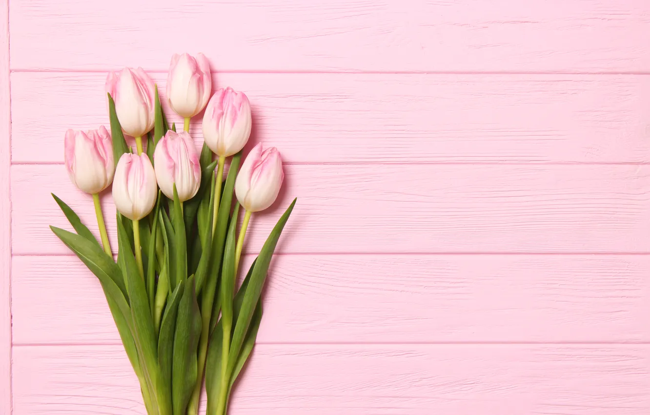 Фото обои цветы, букет, тюльпаны, розовые, wood, pink, flowers, beautiful