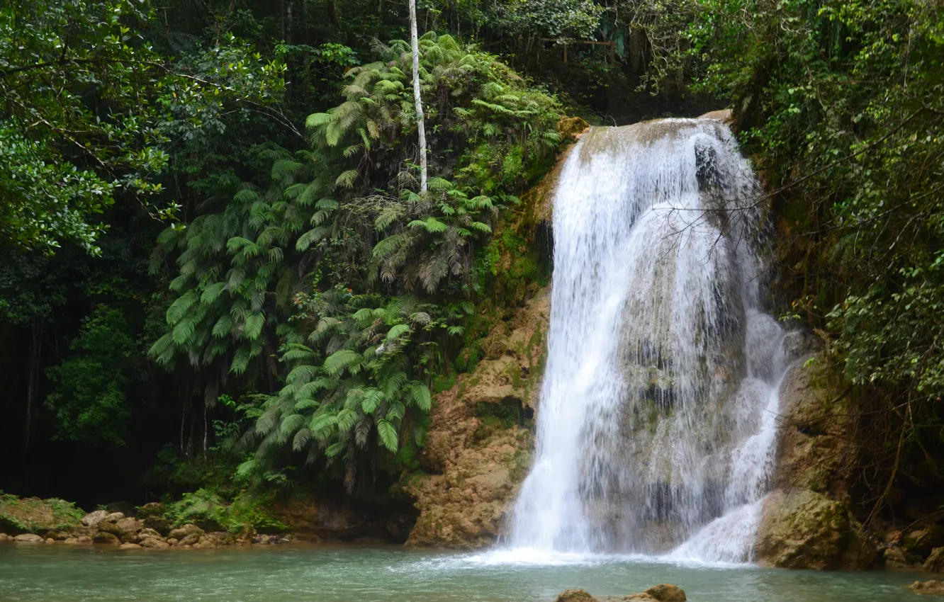 Фото обои зелень, вода, водопад, красиво, доминикана