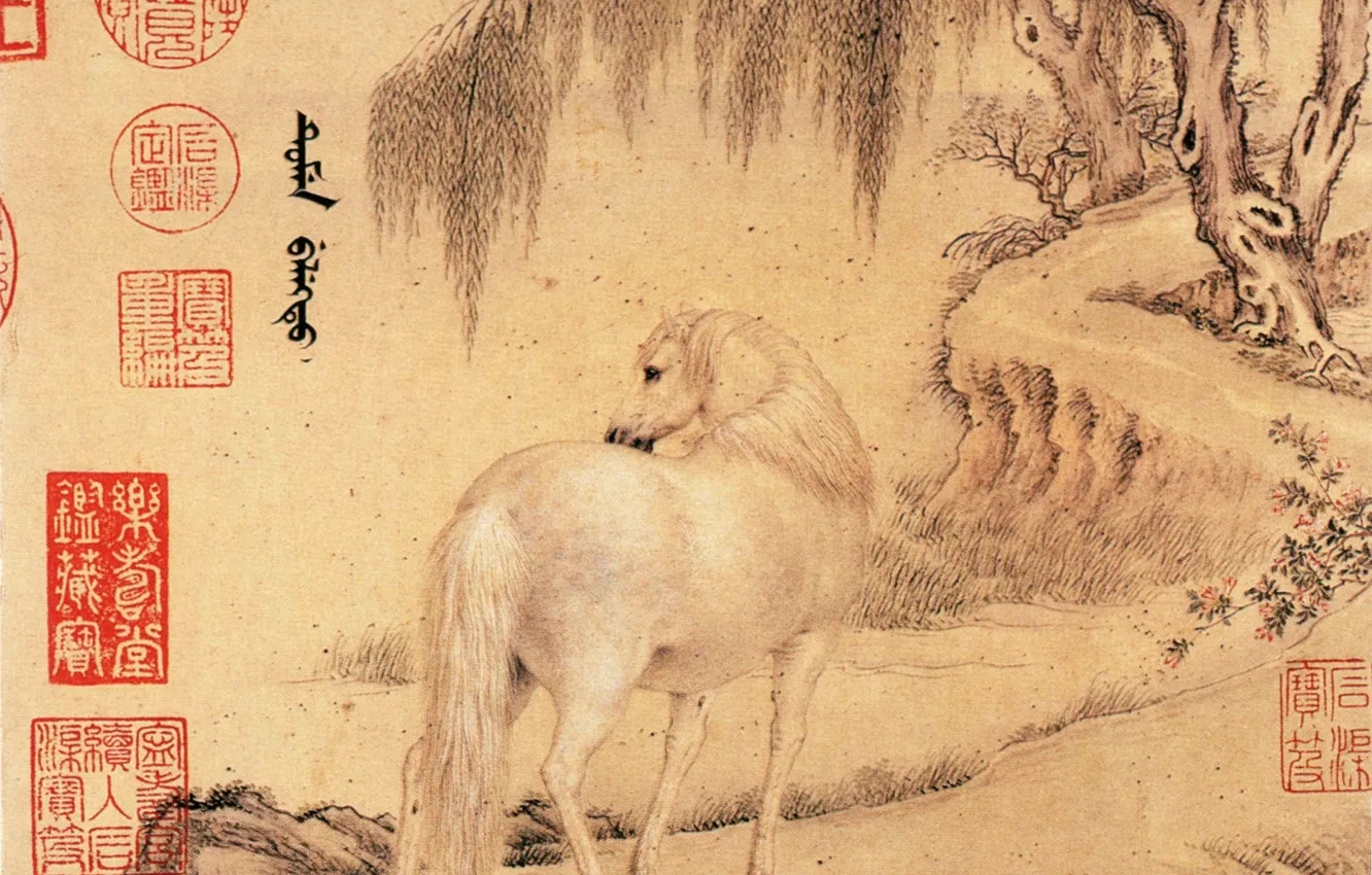 Фото обои письмо, лошадь, Wang Zhicheng