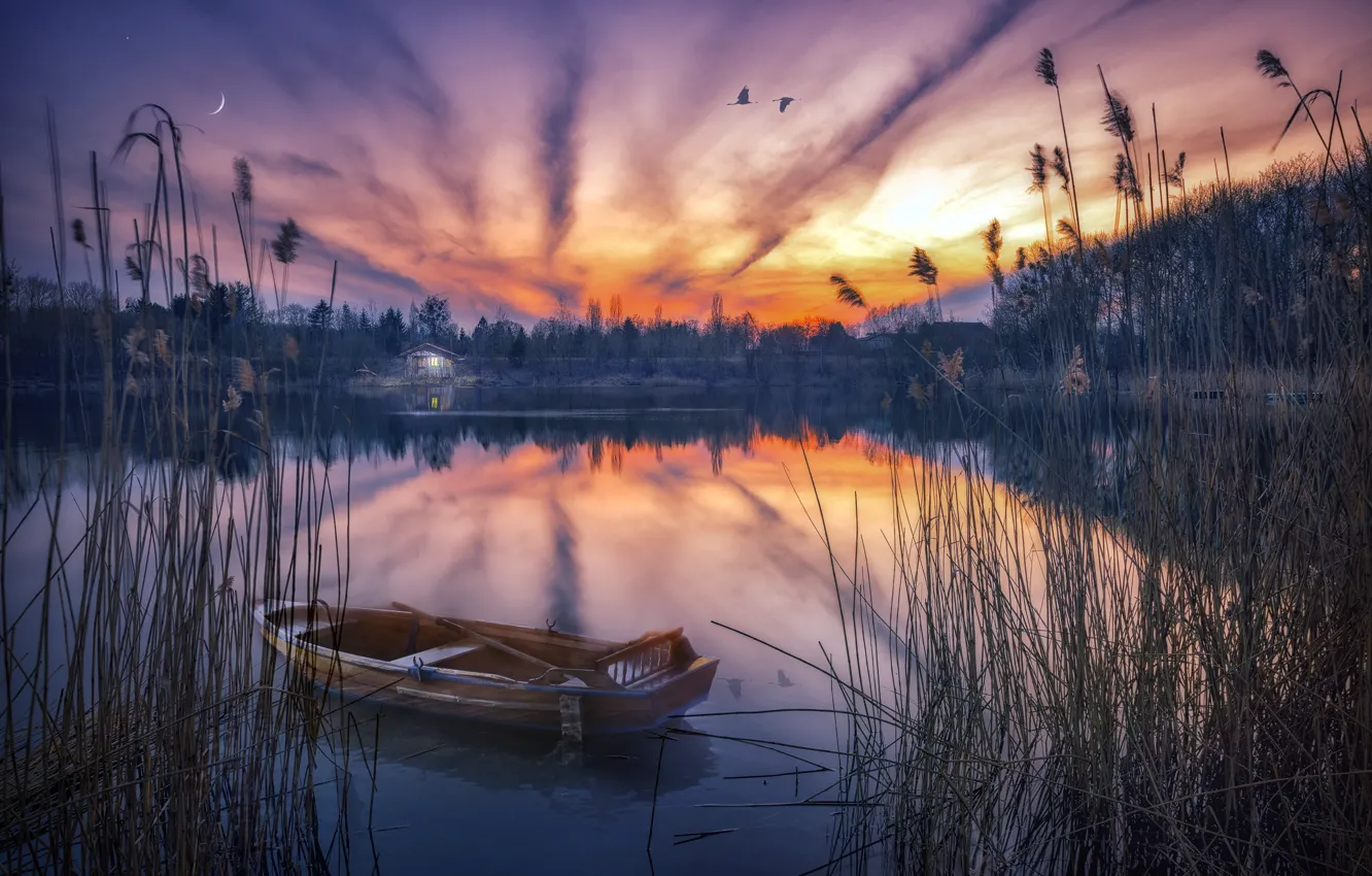 Фото обои закат, природа, озеро, лодка, камыш
