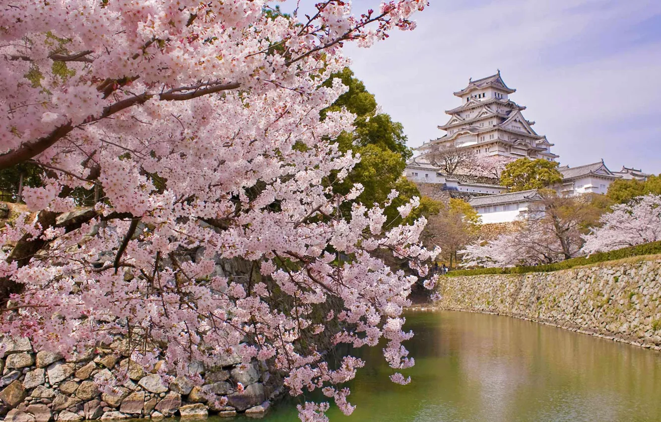 Фото обои весна, Япония, сакура, цветение, Замок Химэдзи, Замок белой цапли