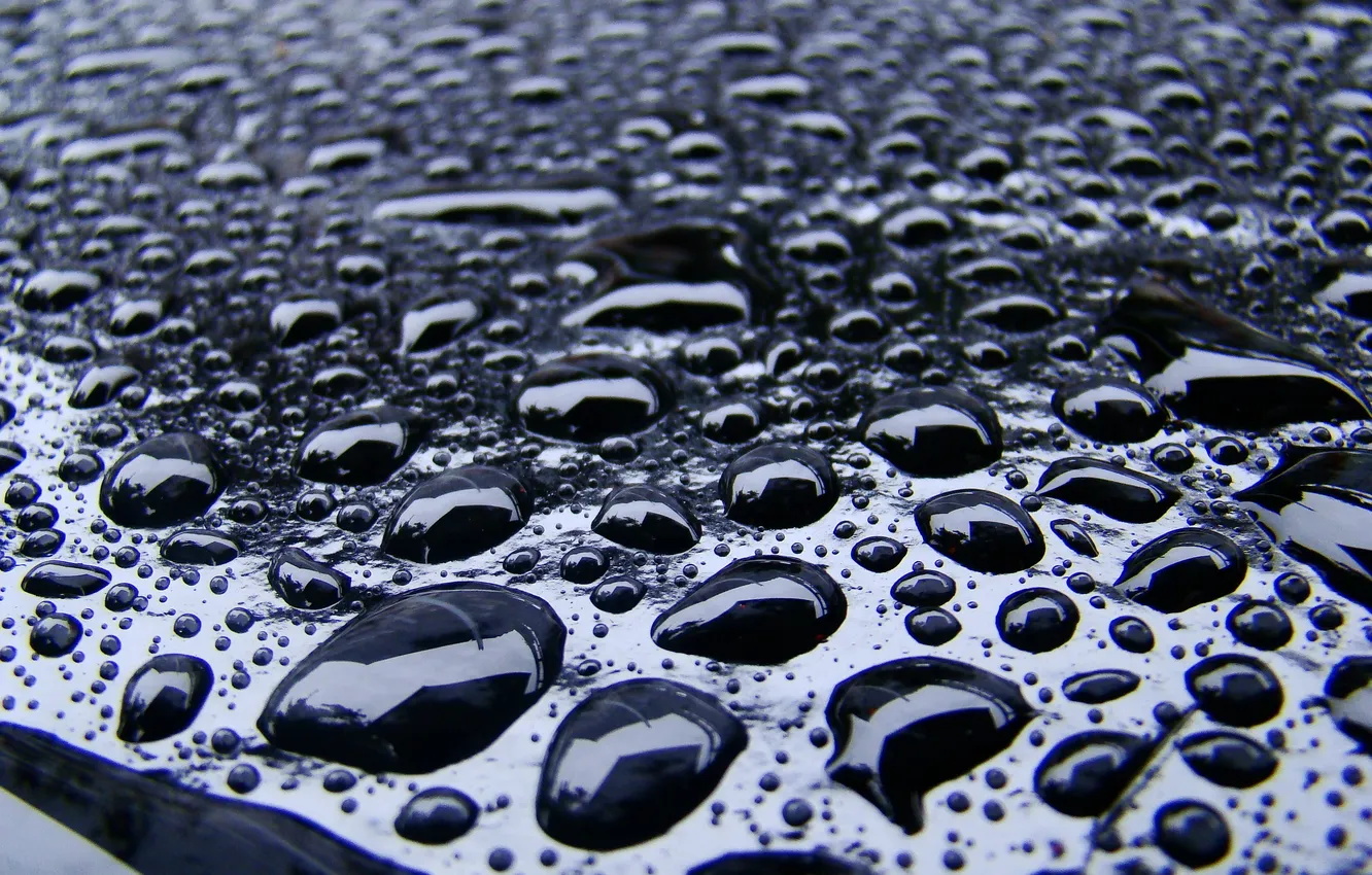 Фото обои дождь, черный, блеск, Капли, отблеск