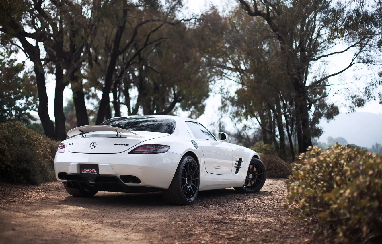 Фото обои белый, white, SLS AMG, Mercedes Benz, вид сзади, антикрыло, Мерседес Бенц, деревья небо