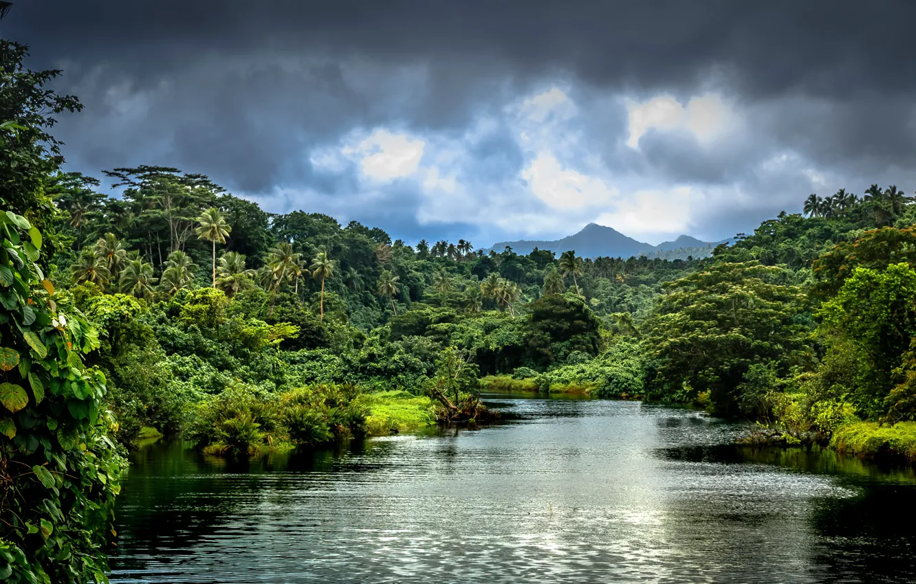 Фото обои зелень, лес, облака, деревья, горы, тропики, река, пальмы